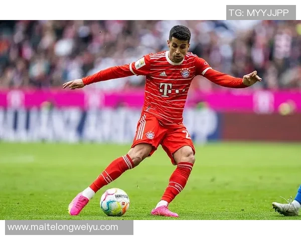 坎塞洛在新赛季的表现分析与未来发展潜力展望