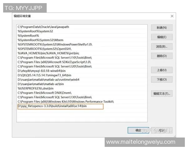 在VS2015中如何快速配置迅雷下载工具以提升下载速度和效率